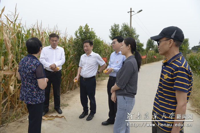 郑州市科技局党组书记、局长夏扬一行听取“豫单132”生产情况的介绍